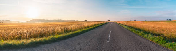 istock Road crossing agricultural fields at sunrise 1001389518