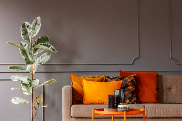 istock Ficus next to brown sofa with orange pillows in grey living room interior with table. Real photo 1001390334