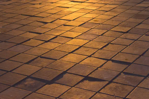 paving in warm yellow sunlight. close up
