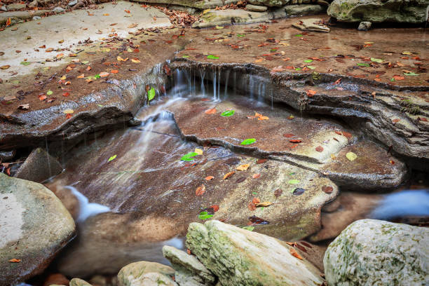istock Mountain river flowing through the green forest 1001396982
