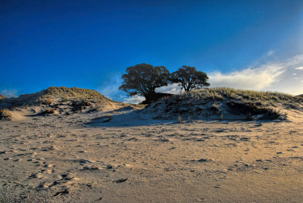 Beach at Medlands, Great Barrier Island, New Zealand