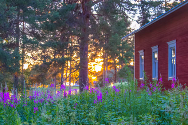 Falköping, Sweden-May, 2022: Forest road to a red cottage