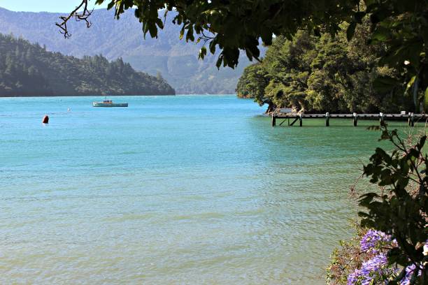 seguimiento de unas vistas impresionantes de la reina charlotte - queen charlotte track fotografías e imágenes de stock