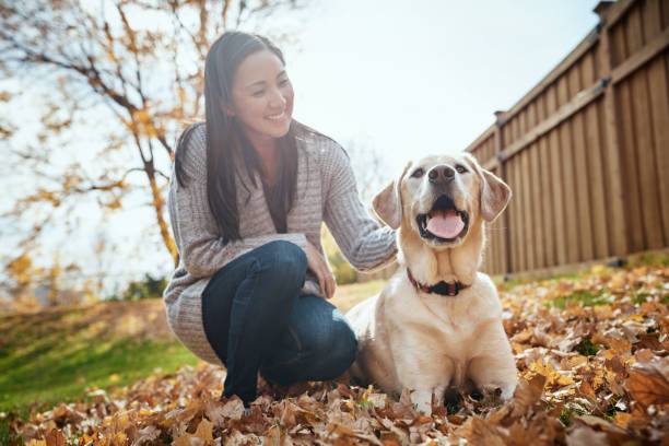 istock No bones about it, he's the best dog ever 1001404408