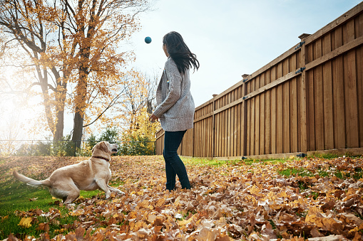Shot of an attractive young woman playing fetch with her dog on an autumn day in a garden