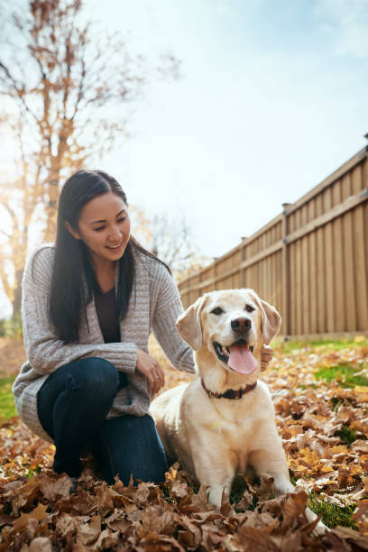 istock Life is even better with a furry best friend 1001404418