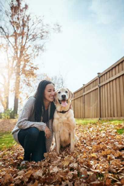 istock Dogs make the world a happier place 1001404424