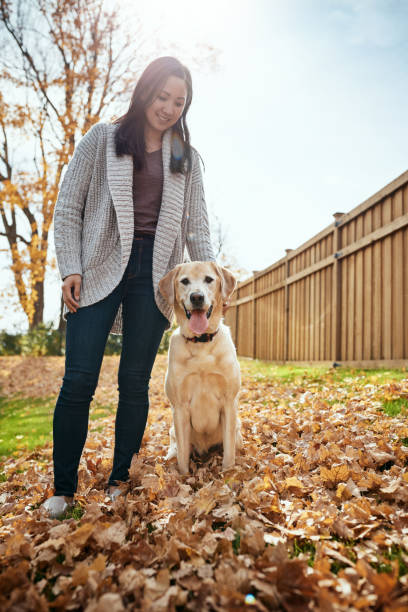 istock Happiest are those with pets in their lives 1001404426