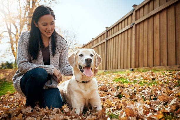 istock It’s a great day to go out and play 1001404428
