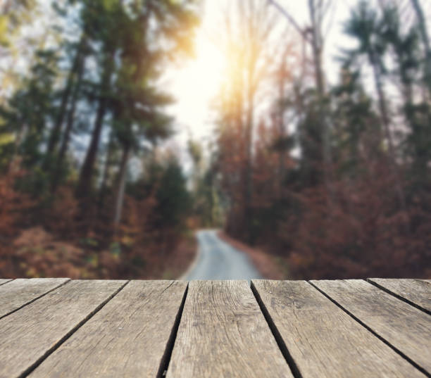 Empty wooden table over defocused autumn Empty wooden table over defocused autumn background fall picnic table stock pictures, royalty-free photos & images