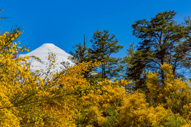 istock Osorno volcano in Chile 1001412530