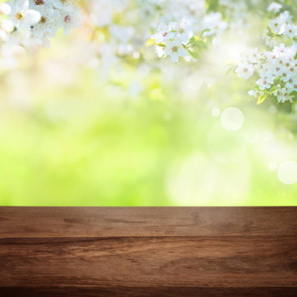istock Cherry blossoms in park with wooden table 1001413834