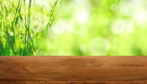 istock Meadow landscape with wooden table 1001413902