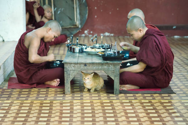 mnisi obiad w klasztorze kalaywa tawya w rangunie - kalaywa tawya monastery zdjęcia i obrazy z banku zdjęć