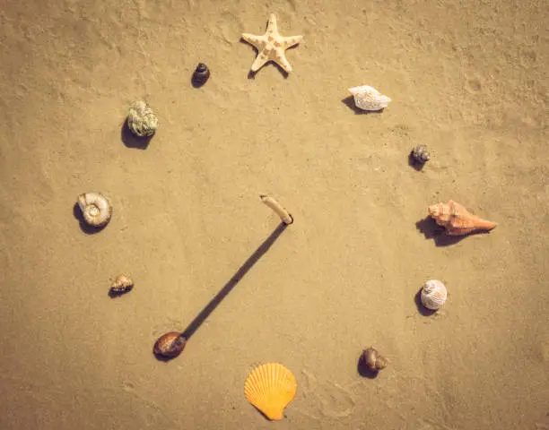 Summer vacation on the sea coast. Beautiful sundial from sea shells and reeds. Summer sandy beach