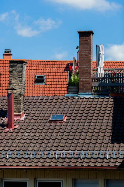 istock Gladiolus on the roof. Romantic picture. 1001419642