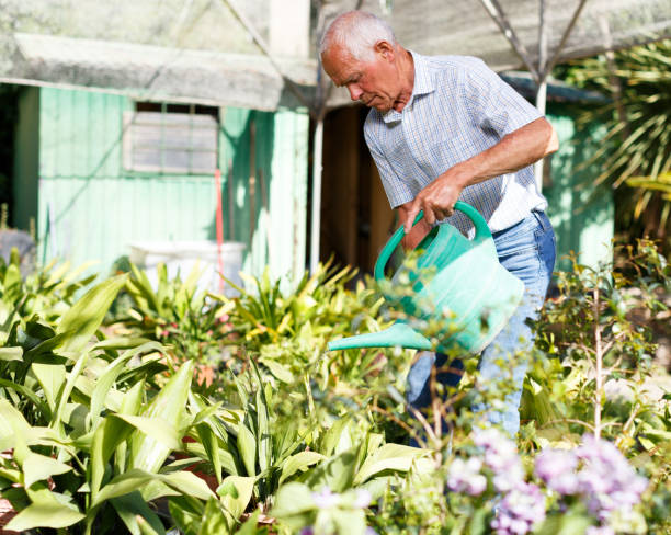 istock Elderly gardener watering plants 1001426604