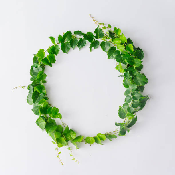 istock Creative layout made of branches and leaves with copy space. Flat lay. Nature concept 1001430274