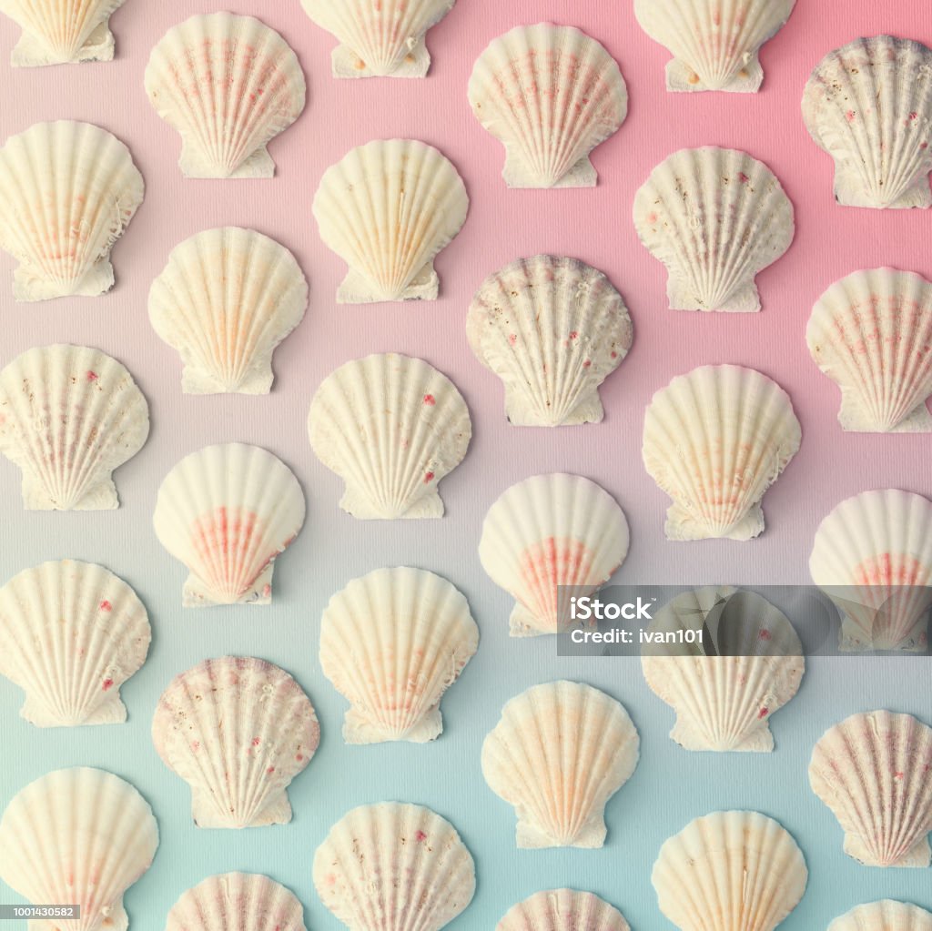 Pink Seashell Pattern Creative Seashell Pattern On Gradient Pastel Pink And Blue Background ...