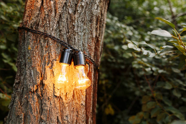 istock Decorative outdoor string lights hanging on tree in the garden at night time 1001431234