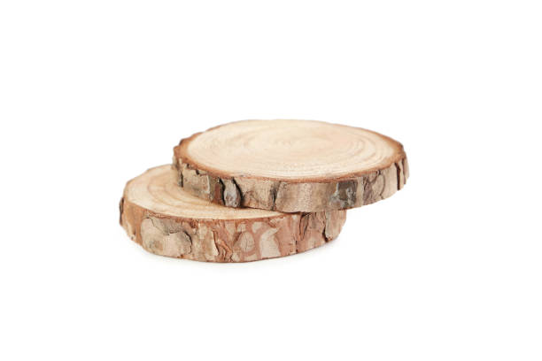 istock Cross section of tree trunk isolated on a white 1001438104