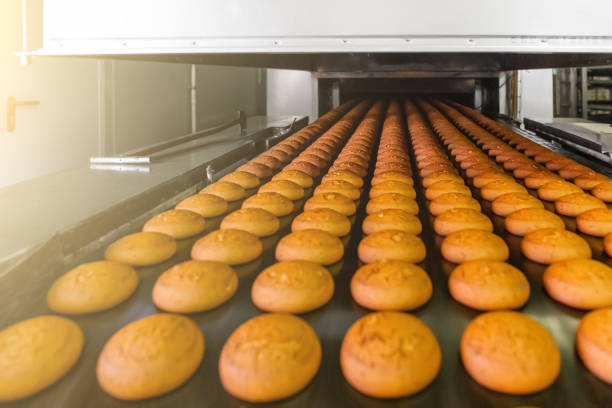 istock Cakes on automatic conveyor belt or line, process of baking in confectionery culinary factory or plant. Food industry, cookie and other sweet breadstuff production 1001455978