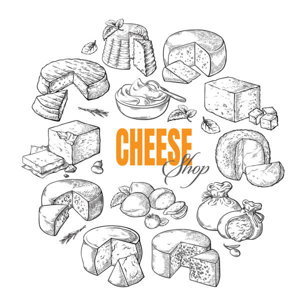 circular background of different cheese top view circular background of different cheese top view Vector illustration roquefort cheese stock illustrations