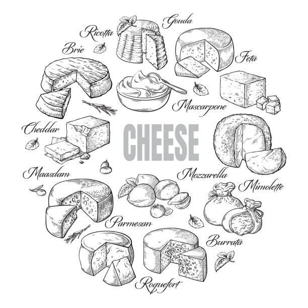 kreisförmige hintergrund verschiedene käse-draufsicht - feta cheese stock-grafiken, -clipart, -cartoons und -symbole