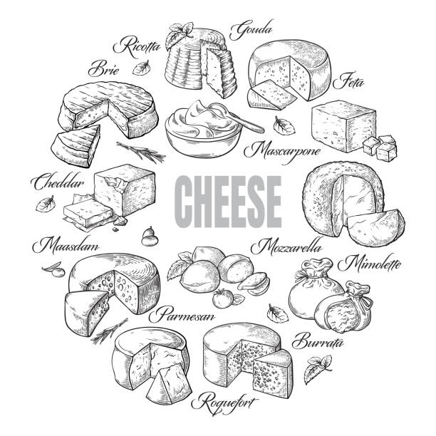 illustrazioni stock, clip art, cartoni animati e icone di tendenza di sfondo circolare di diversa vista dall'alto del formaggio - mozzarella