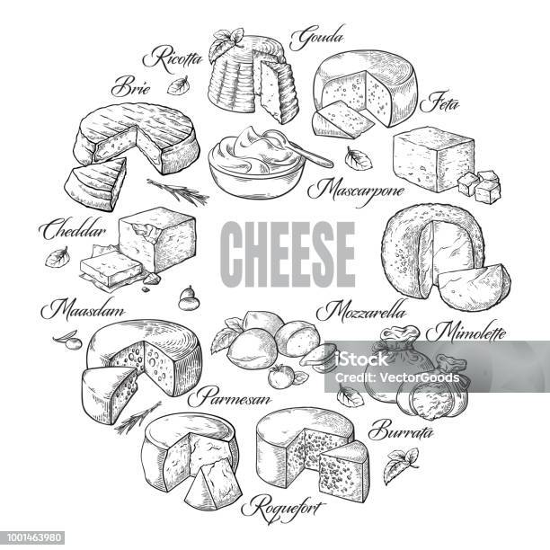Circular Background Of Different Cheese Top View Stock Illustration - Download Image Now - Cheese, Illustration, Drawing - Activity