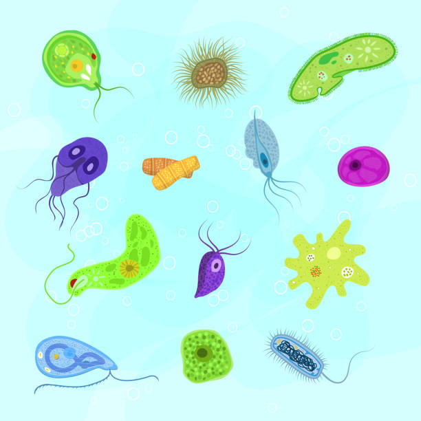 Bactéria Virulenta O Que é