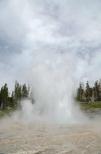 istock Geyser in Yellowstone National Park 1001476656