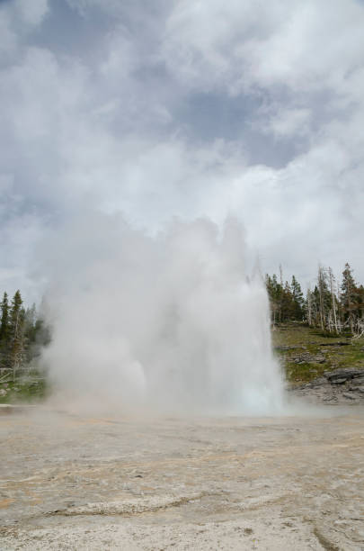 istock Geyser in Yellowstone National Park 1001476730