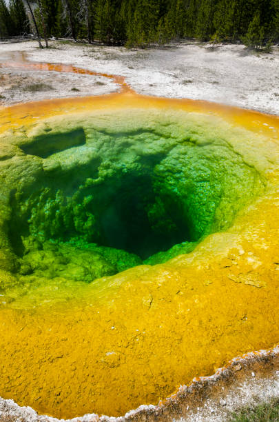 istock Geyser in Yellowstone National Park 1001476840