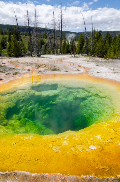 istock Geyser in Yellowstone National Park 1001476908