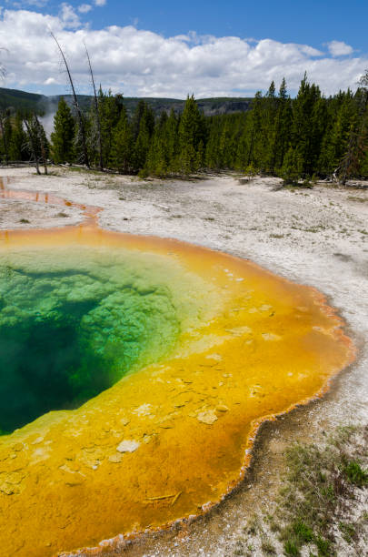 istock Geyser in Yellowstone National Park 1001476944