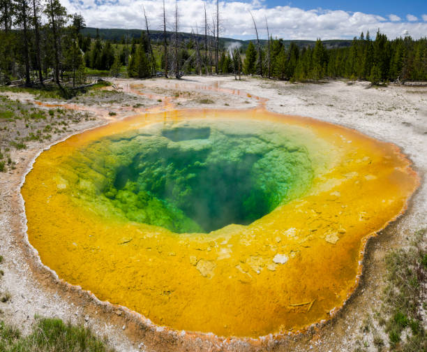 istock Geyser in Yellowstone National Park 1001476988
