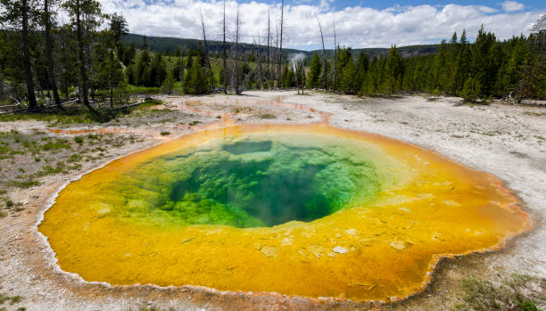 istock Geyser in Yellowstone National Park 1001477030