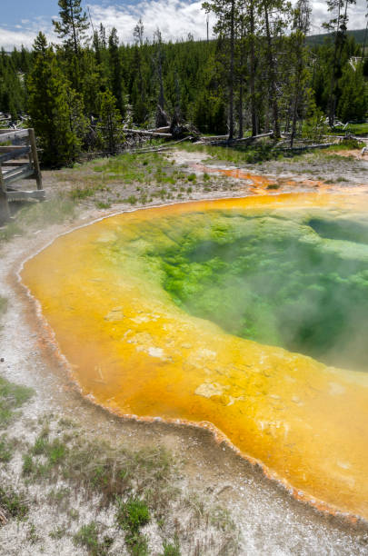 istock Geyser in Yellowstone National Park 1001477054