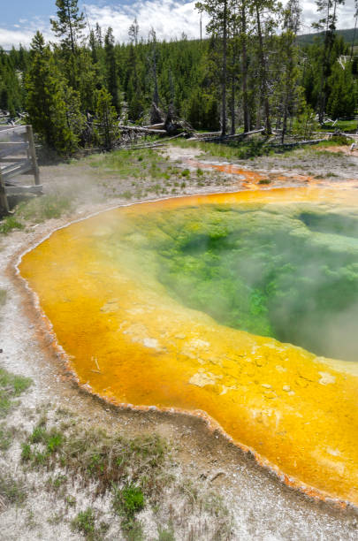 istock Geyser in Yellowstone National Park 1001477062