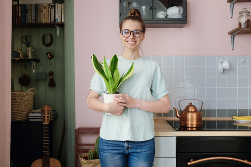 Young smiling beautiful woman holding green plant in white pot, staying in colorful kitchen. Eco trends concept