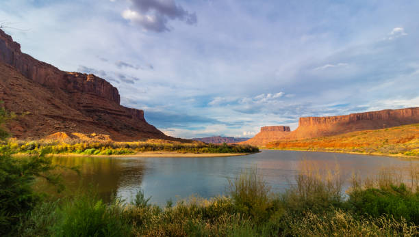 istock Scenic view of the Colorado River 1001482586