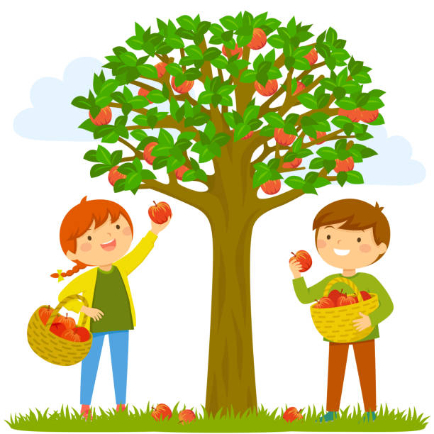 Children picking apples vector art illustration