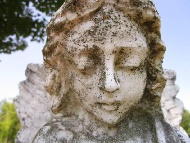 istock The Face of an Angel 1001489994