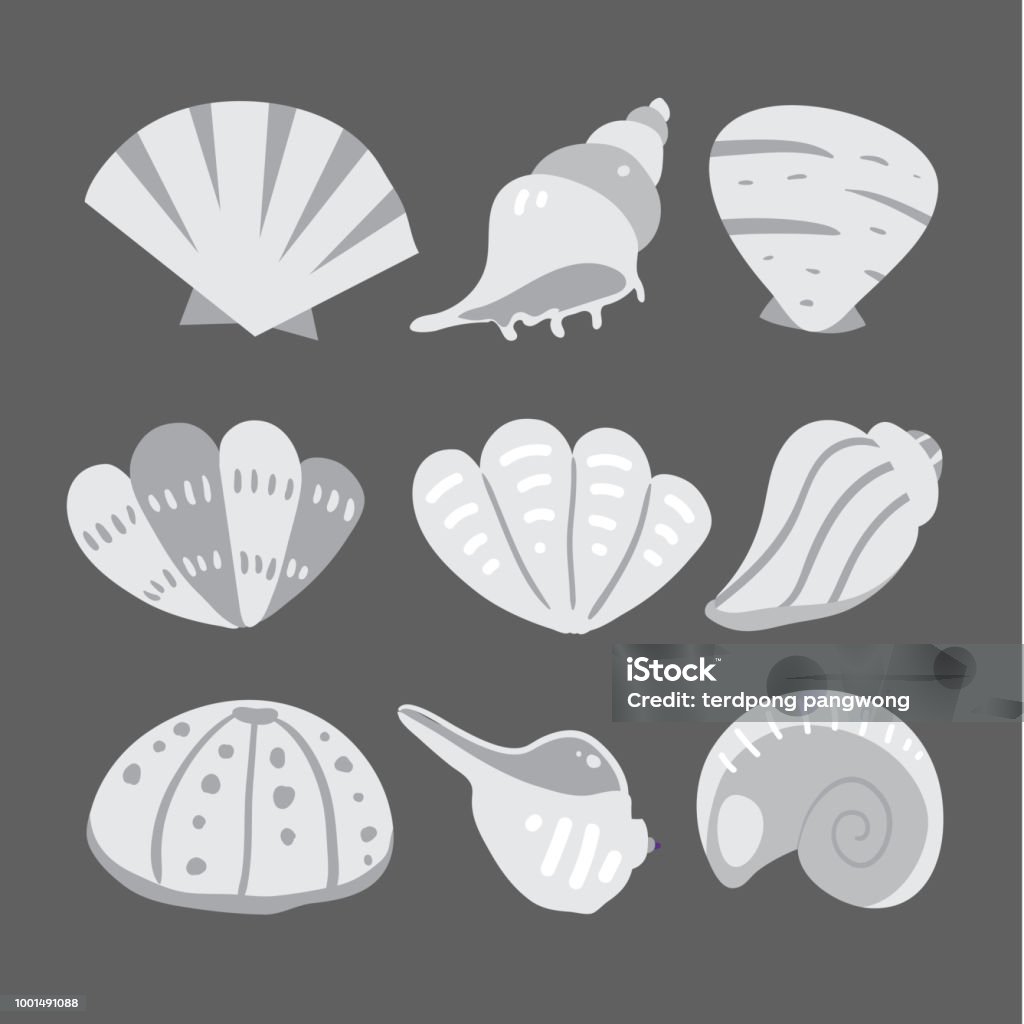 Shells Bw Vector Shell Vector Collection Design Stock Illustration - Download Image Now ...