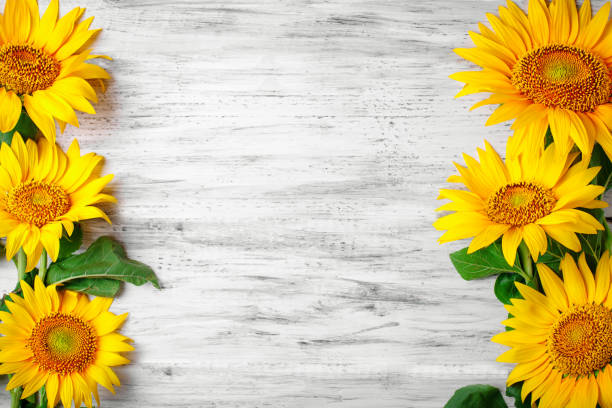 istock Beautiful sunflowers on a wooden table. View from above. Background with copy space 1001503208
