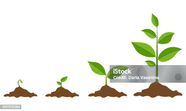 Green Sprout Set Vector Illustration Stock Illustration - Download Image Now - Plant, Growth, Planting