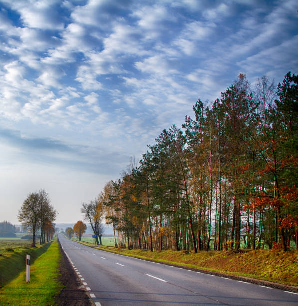 empty asphalt road, autumn trees and nice sky