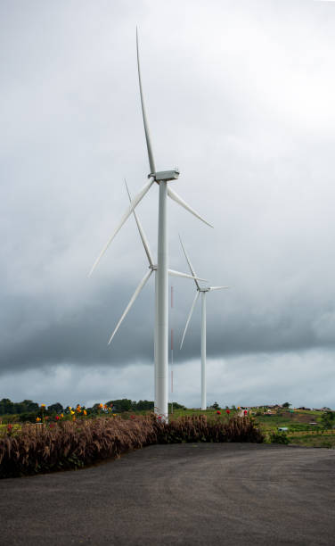 istock turbine farm with incoming thunder storm 1001529630