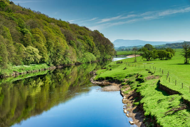 The River Lune near Lancaster flowing through lush green country The River Lune near Lancaster flowing through lush green countryside with Ingleborough on the far horizon. lancaster lancashire stock pictures, royalty-free photos & images